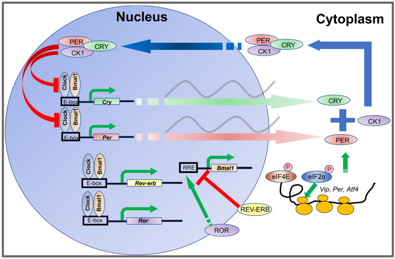 FIGURE 1