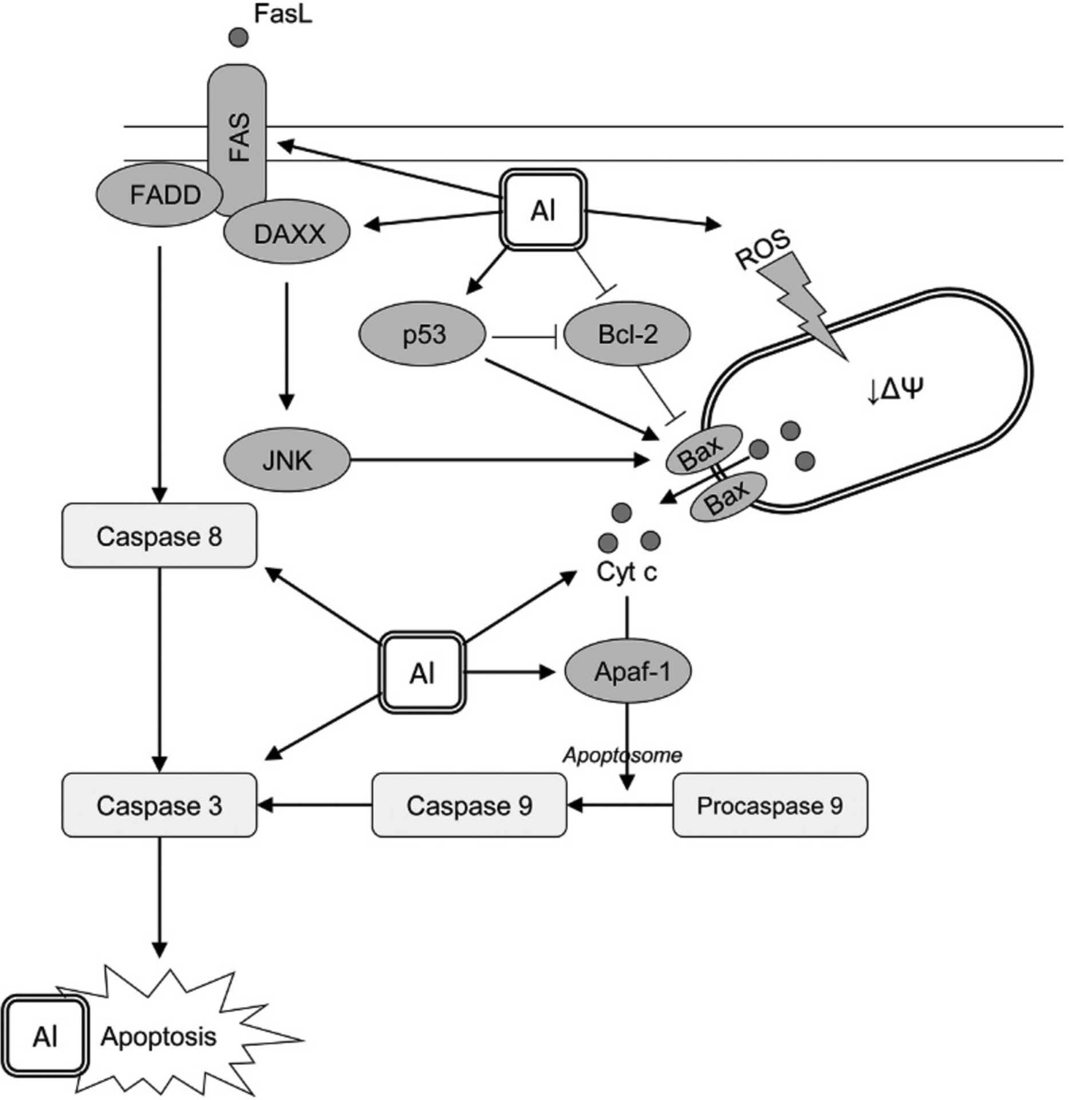 Fig. 2