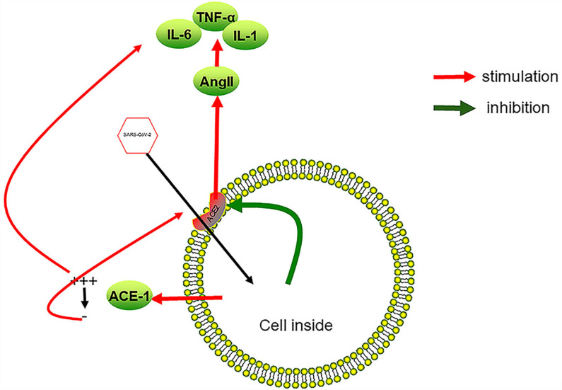 Figure 3