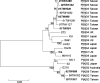 FIG. 7.