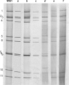 FIG. 3.