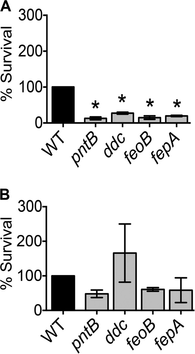 FIG 5 