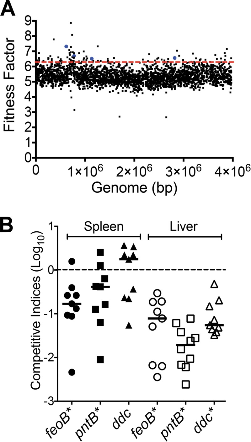 FIG 2 