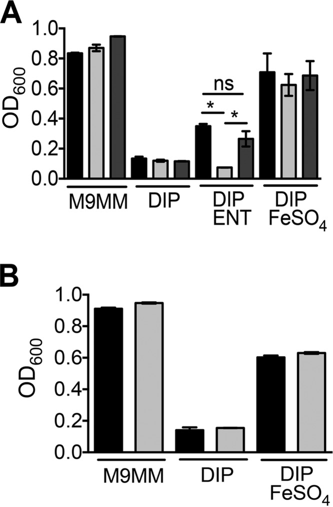 FIG 3 