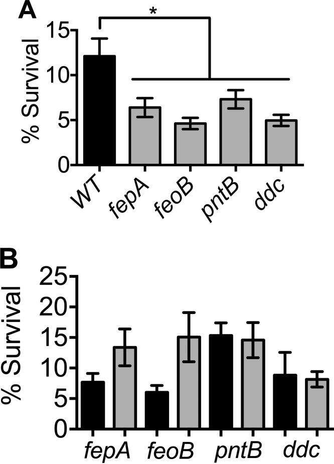 FIG 6 