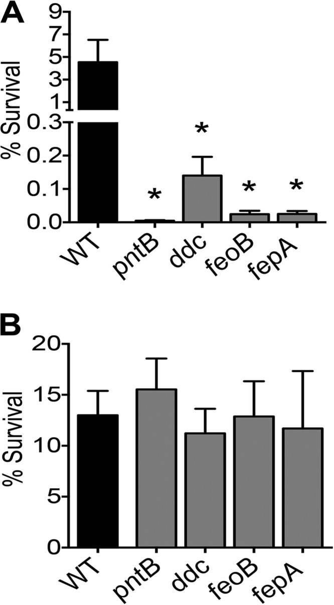 FIG 4 