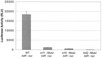 FIG. 5.