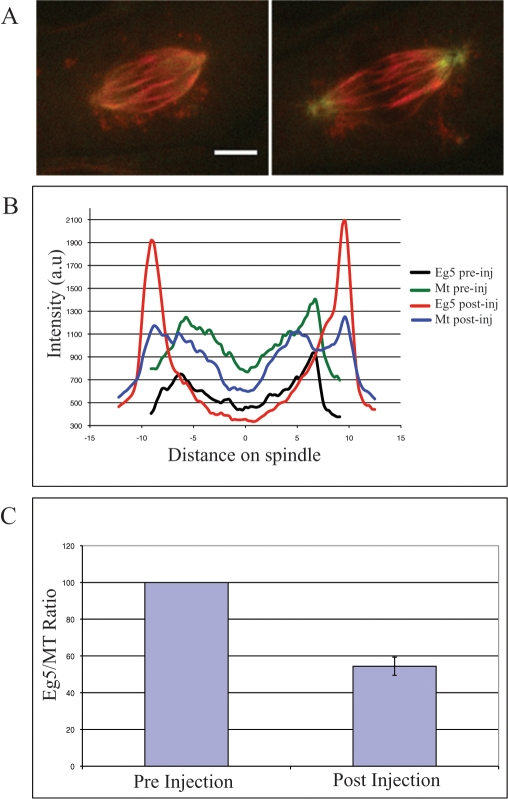 FIGURE 6: