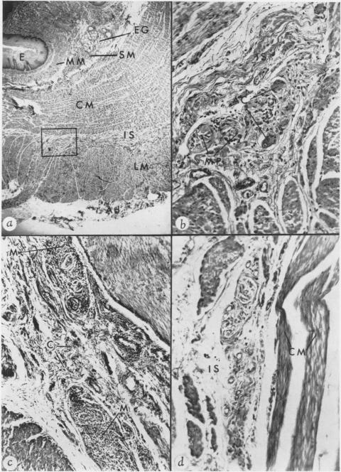 Fig. 1a.