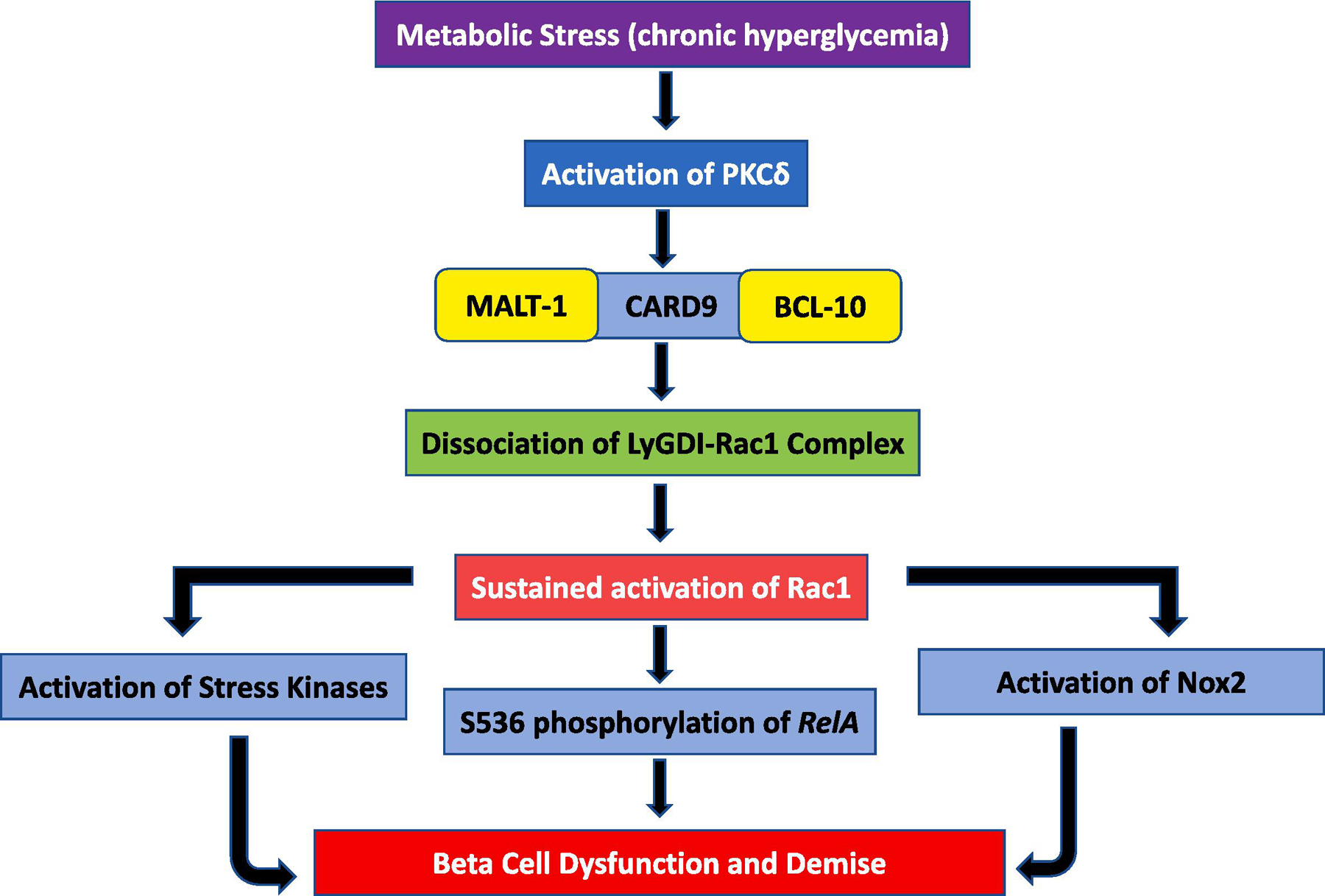 Figure 3: