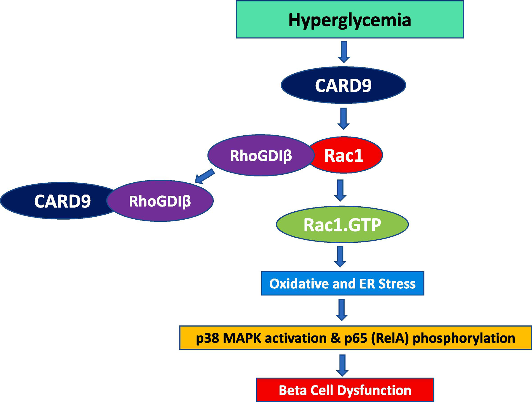 Figure 1: