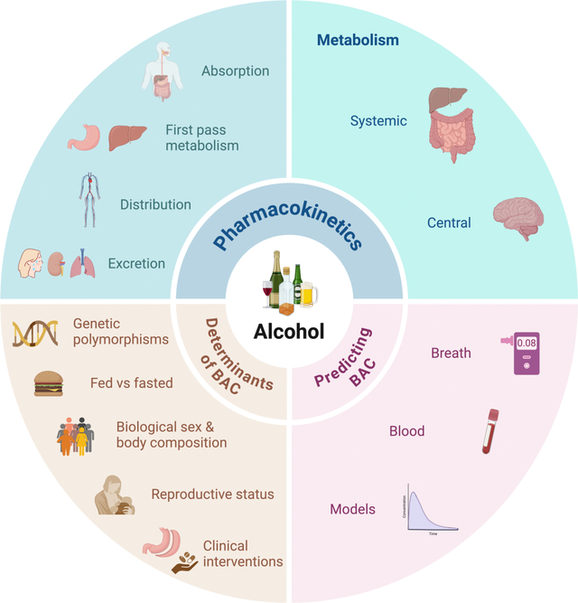 graphic file with name nihms-2097514-f0001.jpg