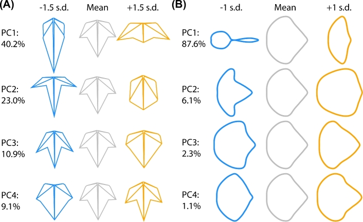 Figure 4.