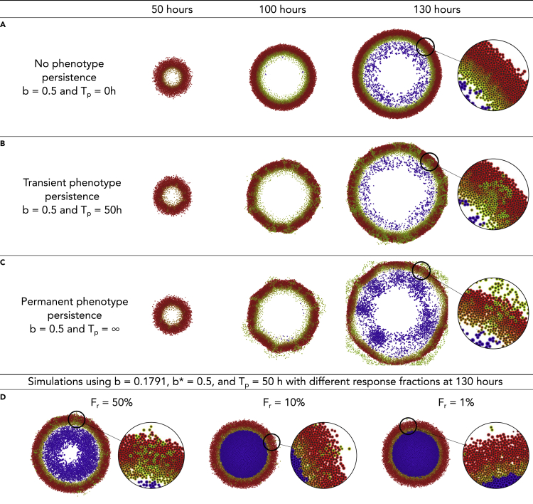 Figure 4