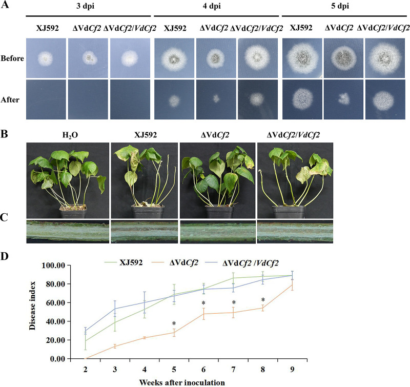 FIG 3