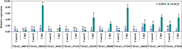 FIG 6