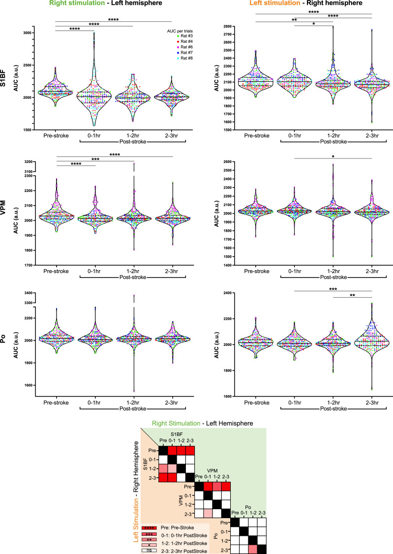 Figure 3—figure supplement 3.