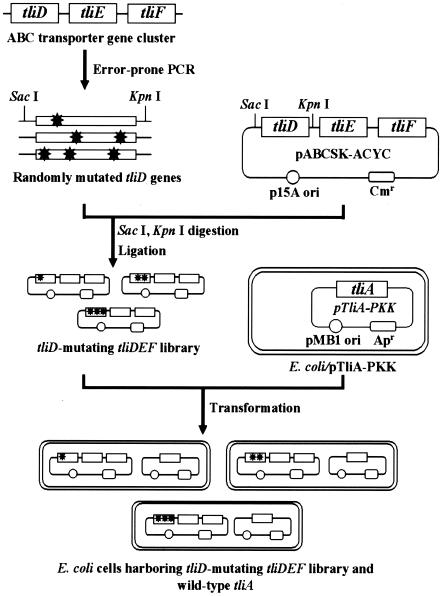 FIG. 1.