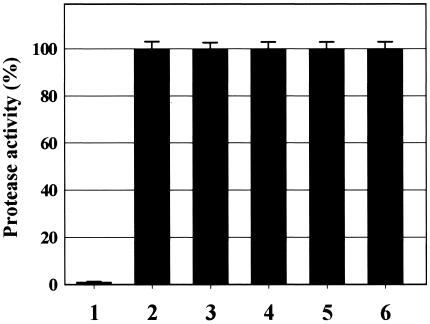 FIG. 6.