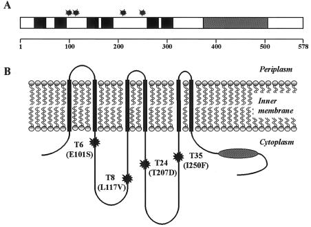 FIG. 5.