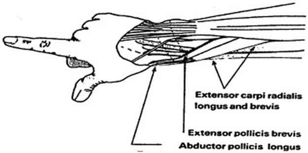 Figure 8.