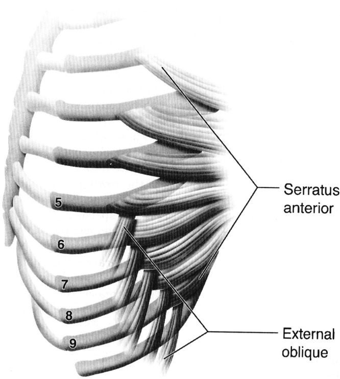 Figure 14.