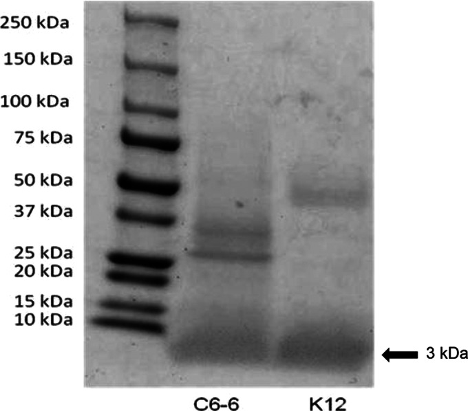 FIG 2