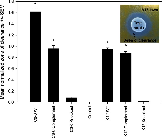 FIG 3