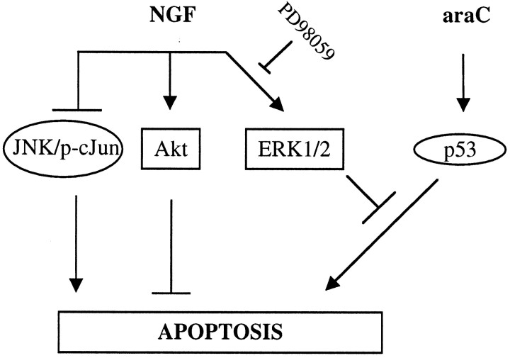 Fig. 9.