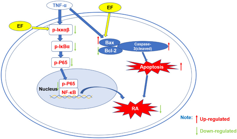 graphic file with name 13020_2021_522_Figa_HTML.jpg
