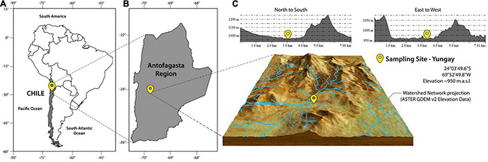 FIGURE 1