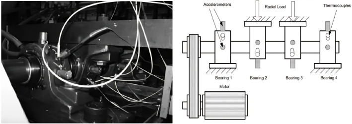 Fig. 5