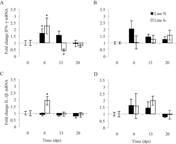 FIG. 3.