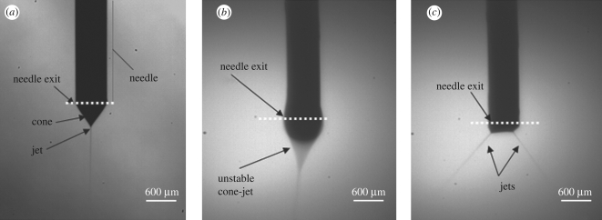 Figure 3.