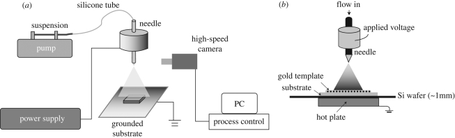 Figure 1.