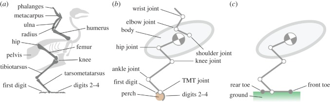 Figure 7.