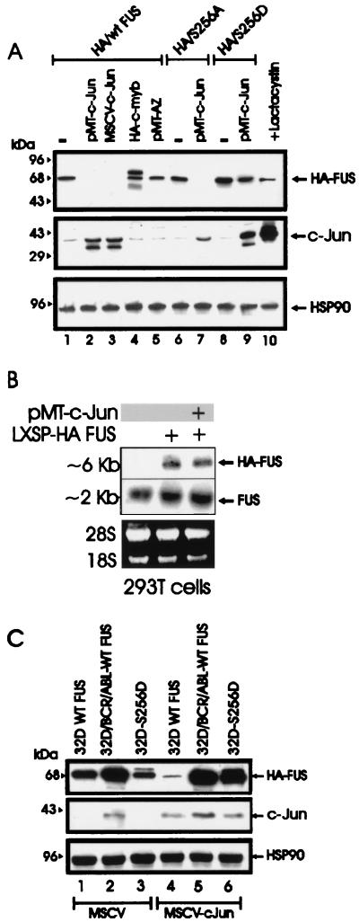 FIG. 5