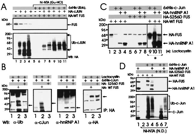 FIG. 7