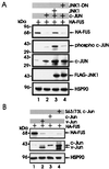 FIG. 6
