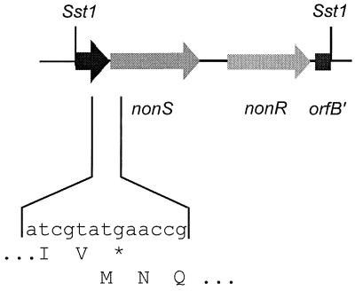 FIG. 5