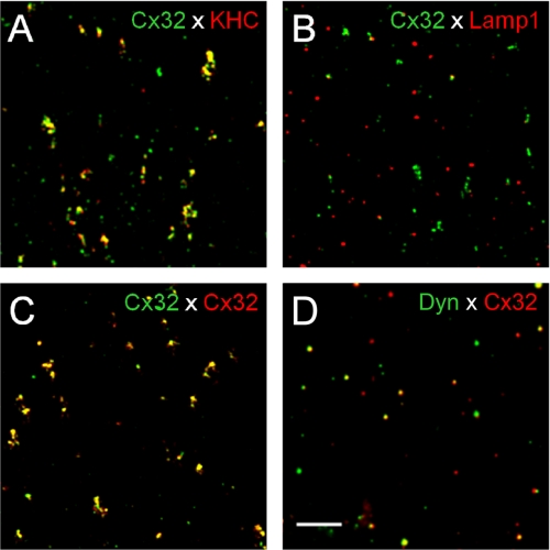 FIGURE 3.