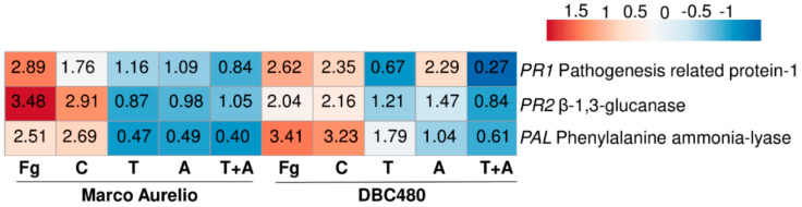 Figure 6