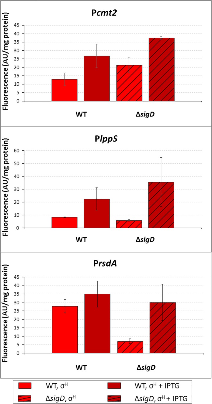 FIGURE 4