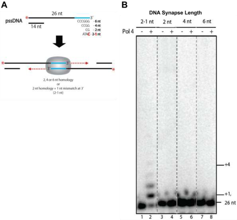 Figure3.