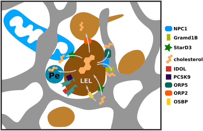 FIGURE 2