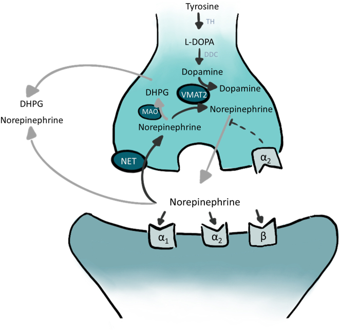 Figure 2