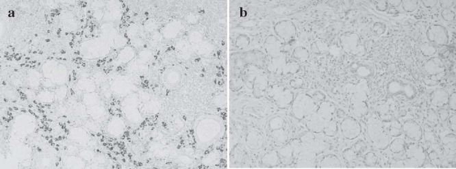 Fig. 2a,b.