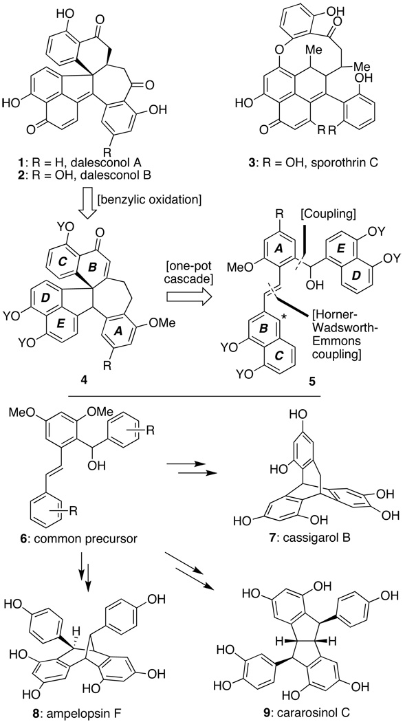 Scheme 1