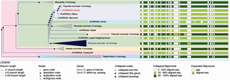 Figure 10.