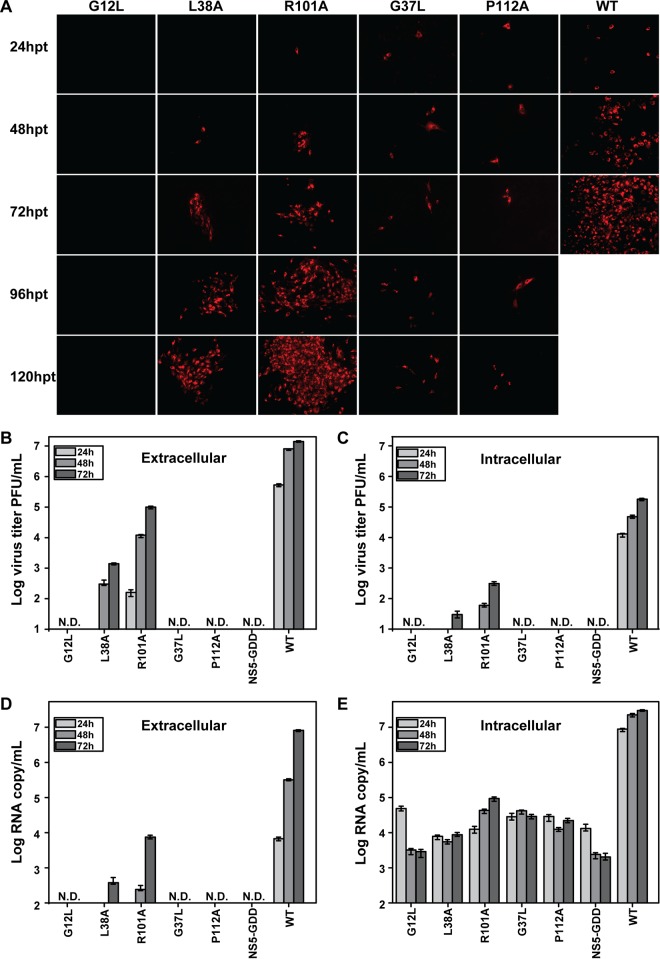 FIG 3